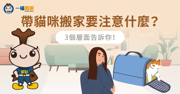 帶貓咪搬家要注意什麼?3個層面告訴你!