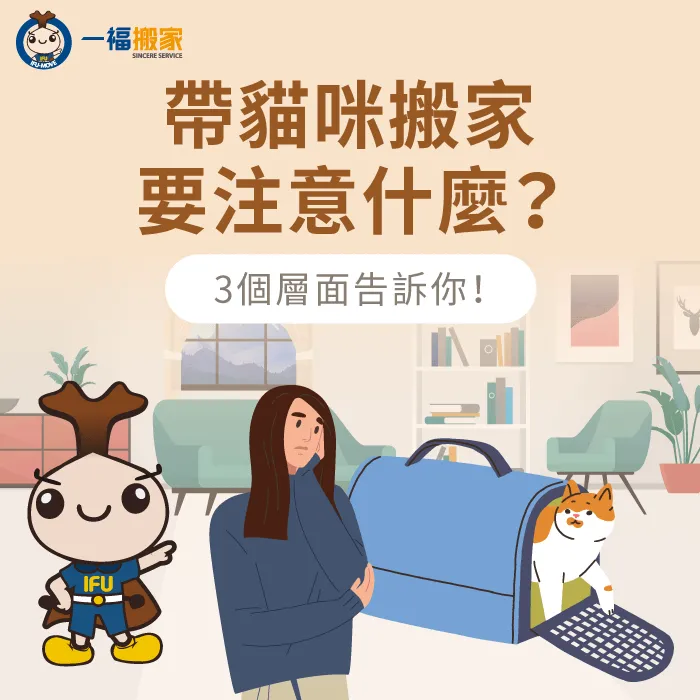 帶貓搬家要注意什麼-台中搬家推薦