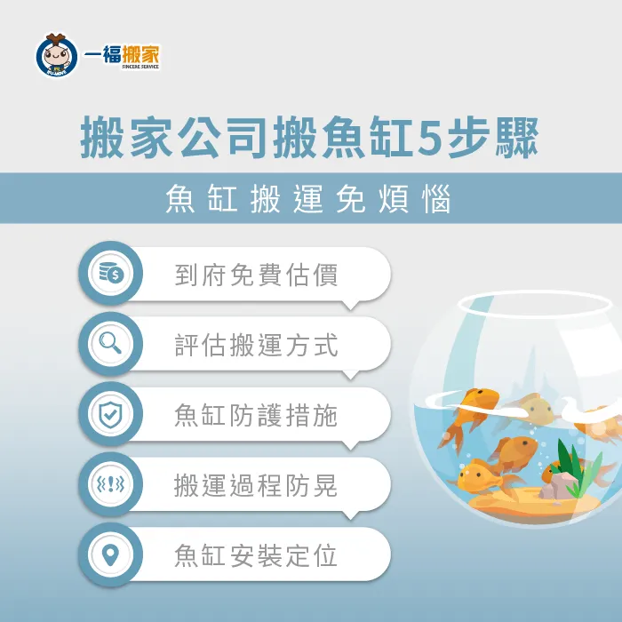搬家公司搬魚缸5步驟-搬家魚缸怎麼辦
