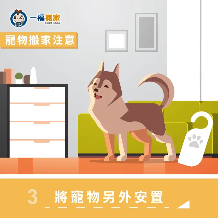 在搬家的當下,將寵物安置在有門的空間,或是請寵物保母都能降低寵物走失的風險 搬家當下將寵物另外安置-寵物搬家