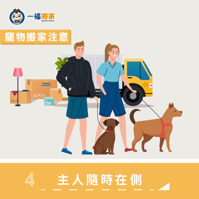 運送過程飼主應隨時在側-寵物搬家