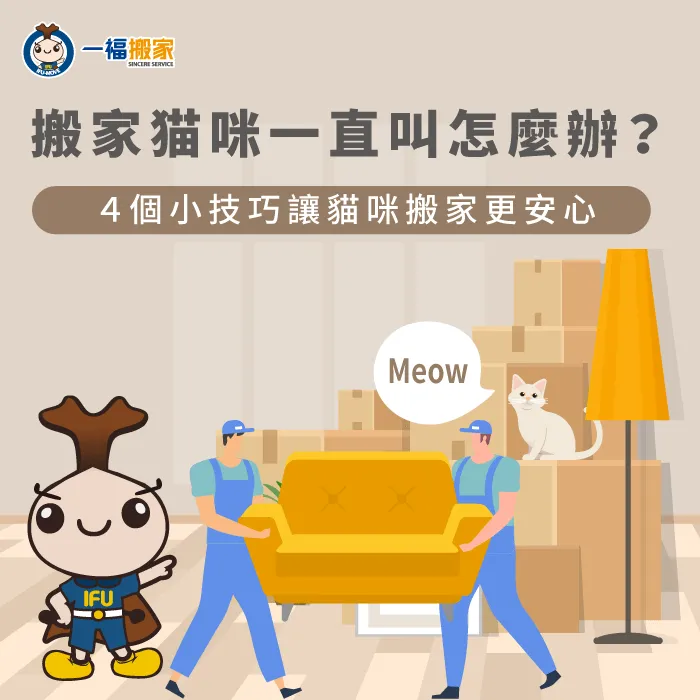 搬家時貓咪一直叫怎麼辦?一福搬家提供各位4個方式來減緩! 搬家貓咪一直叫怎麼辦-台中搬家公司推薦