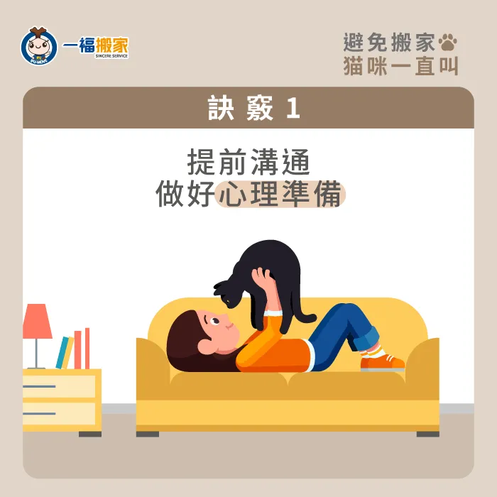 在搬家前事先與貓咪溝通,讓貓咪做好心理準備! 提前與貓咪溝通-搬家貓咪一直叫怎麼辦