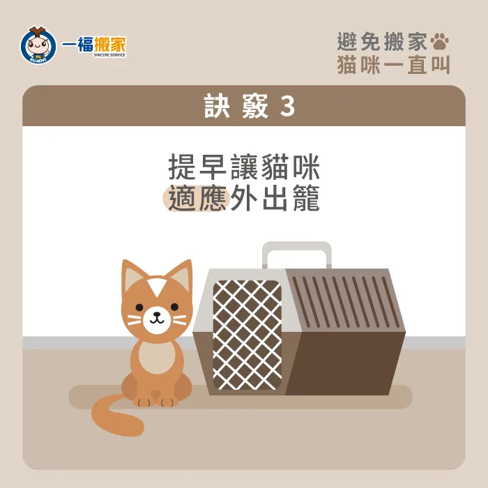 提前讓貓咪熟悉外出籠的味道及空間,讓搬家當天貓咪可以更加輕易的配合! 外出籠訓練-搬家貓咪一直叫怎麼辦