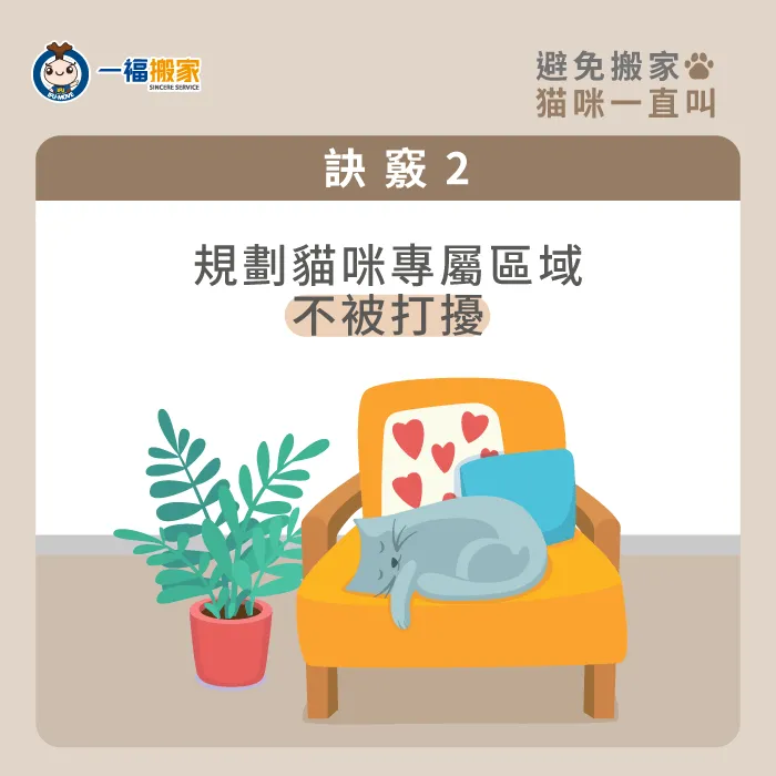 規劃一處不會有人進出的空間,讓貓咪在搬家過程中可以安靜的待在舒適的位置! 準備貓咪專屬休息區-搬家貓咪一直叫怎麼辦