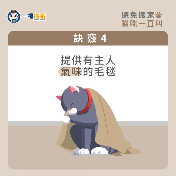 提供貓咪擁有主人氣息的毛毯、衣物,讓貓咪在搬家過程中更安心! 以主人的氣息給與貓咪安全感-搬家貓咪一直叫怎麼辦