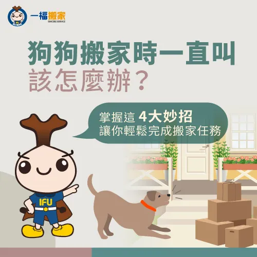 讓一福來帶你了解搬家狗狗一直叫的4大解套方法! 4大緩解狗狗搬家吠叫技巧-搬家狗狗一直叫