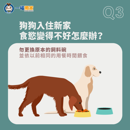 勿更換愛犬原用的物品-狗狗搬家不安