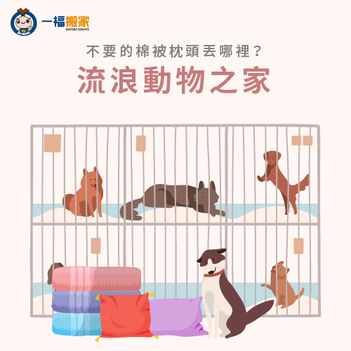 流浪動物之家-不要的棉被枕頭如何處理