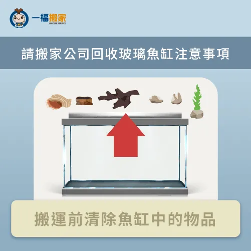 在搬運前將魚缸內所有物品清除乾淨,避免搬運過程中影響重心 提前清除內容物-魚缸不要如何處理