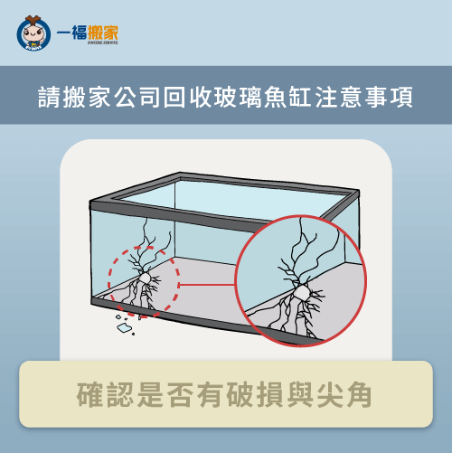 確認魚缸是否有破損-魚缸不要如何處理