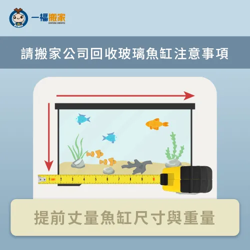 在搬運魚缸前,先丈量魚缸的尺寸並預估重量,讓搬家師傅準備最適合的工具搬運 提前丈量魚缸尺寸-魚缸不要如何處理